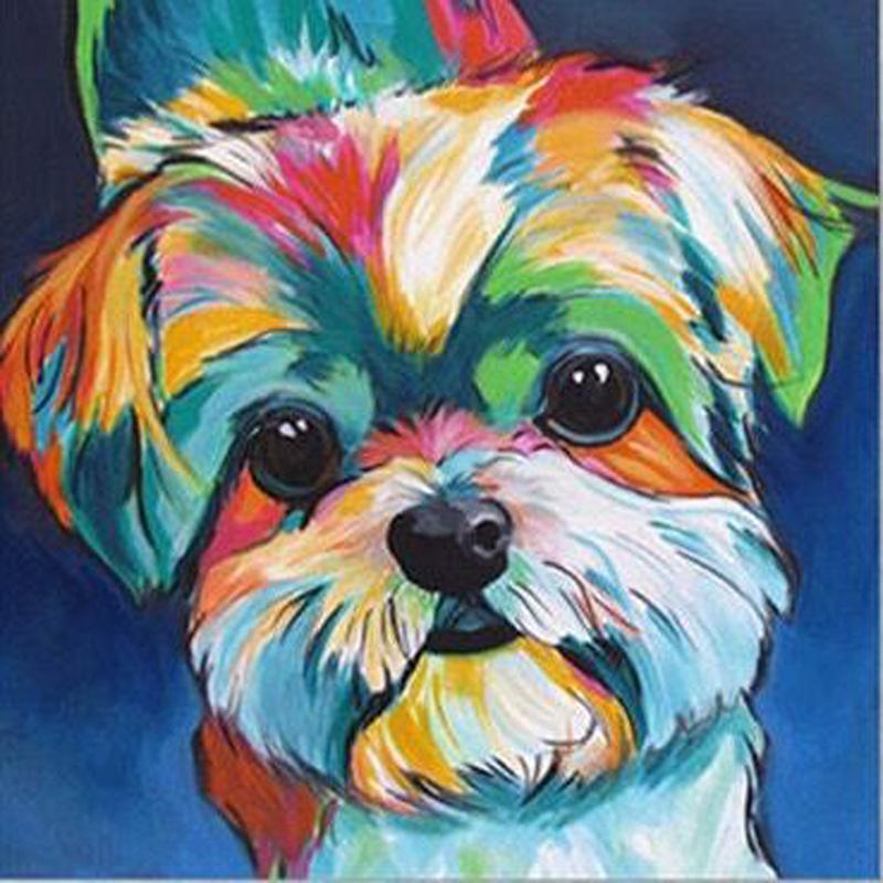 Honden